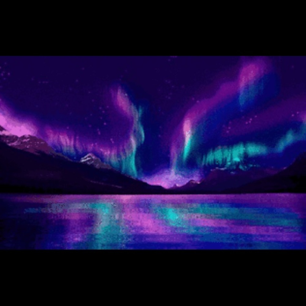 Meet your Posher, Elise